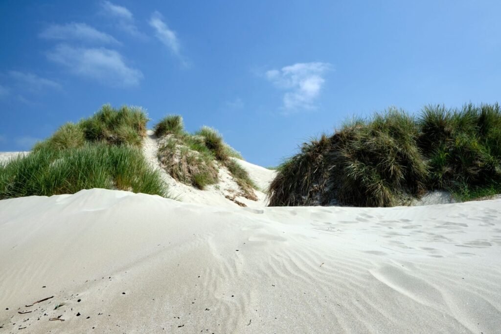 Wandelen in de Donkere Duinen en Mariëndal
