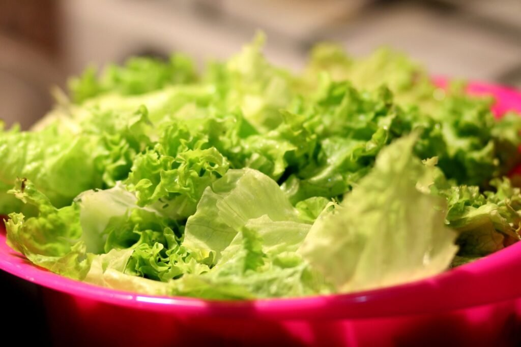 Vegetarisch en vegan eten in Den Helder